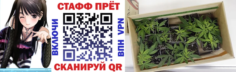 Наркота Кириллов ГАШ Канабис А ПВП Меф мяу мяу COCAIN