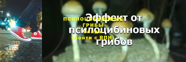 гидра Нефтекумск