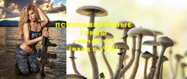 ГАЛЛЮЦИНОГЕННЫЕ ГРИБЫ Нея