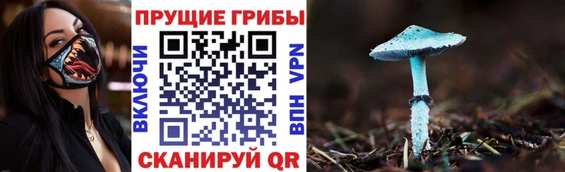 Псилоцибиновые грибы Psilocybe  хочу наркоту  Кириллов 